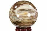 Colorful Petrified Wood Sphere - Madagascar #106987-1